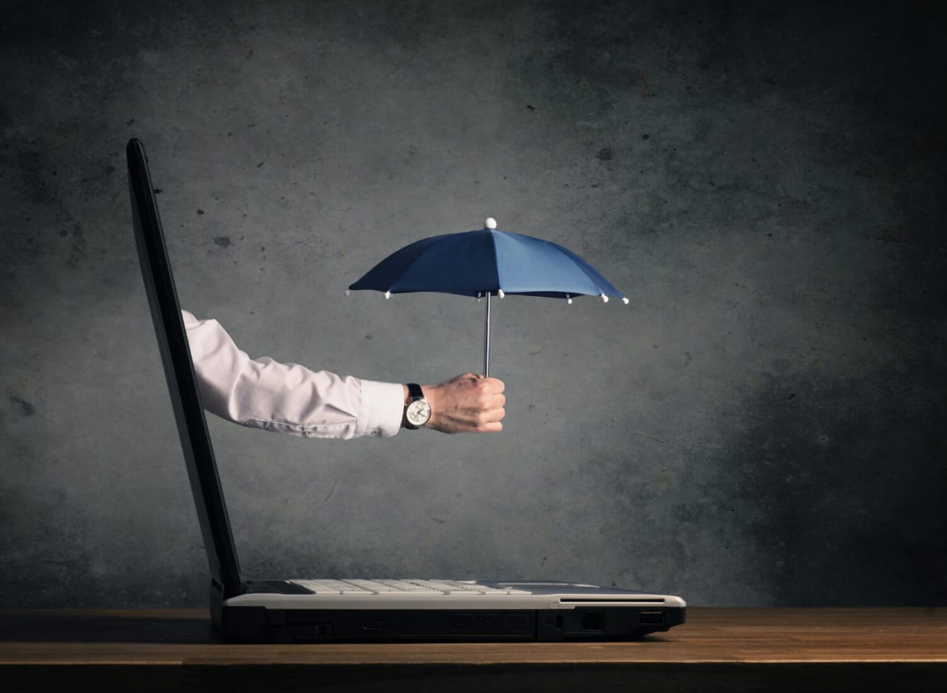 Opieka nad stroną WordPress - parasol ochronny
